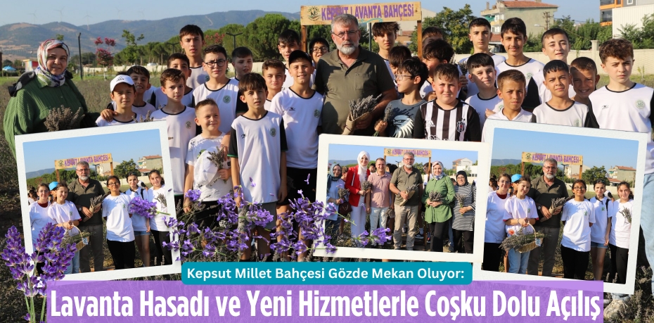Kepsut Millet Bahçesi Gözde Mekan Oluyor: Lavanta Hasadı ve Yeni Hizmetlerle Coşku Dolu Açılış
