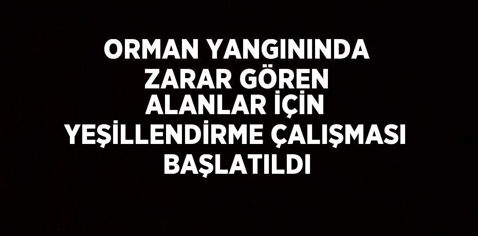 ORMAN YANGININDA ZARAR GÖREN ALANLAR İÇİN YEŞİLLENDİRME ÇALIŞMASI BAŞLATILDI
