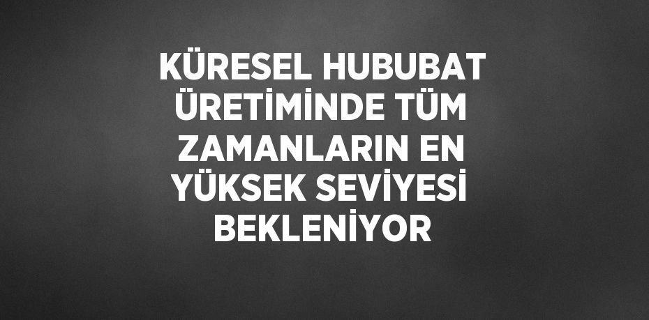 KÜRESEL HUBUBAT ÜRETİMİNDE TÜM ZAMANLARIN EN YÜKSEK SEVİYESİ BEKLENİYOR