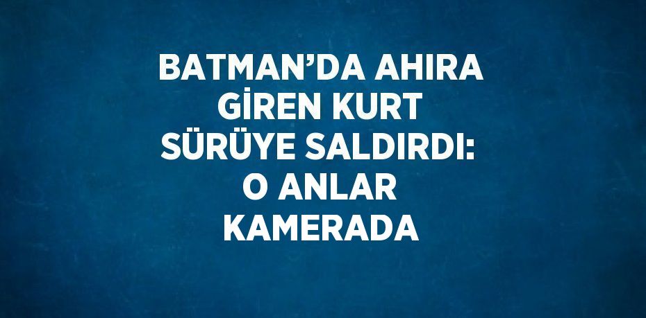 BATMAN’DA AHIRA GİREN KURT SÜRÜYE SALDIRDI: O ANLAR KAMERADA