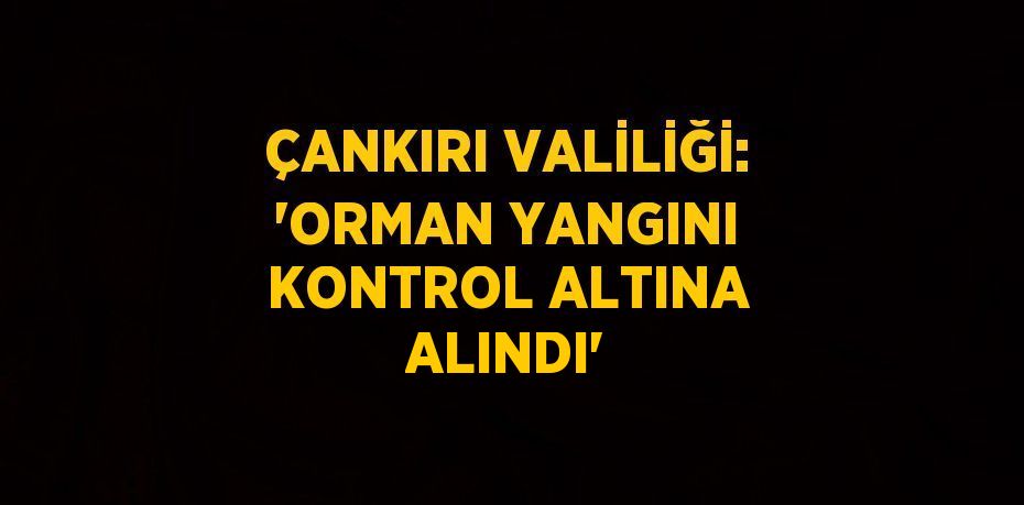 ÇANKIRI VALİLİĞİ: 'ORMAN YANGINI KONTROL ALTINA ALINDI'