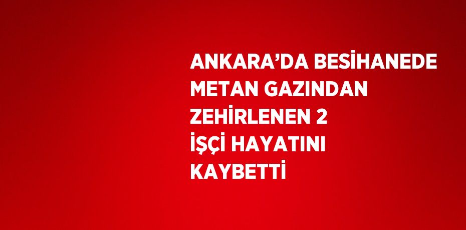 ANKARA’DA BESİHANEDE METAN GAZINDAN ZEHİRLENEN 2 İŞÇİ HAYATINI KAYBETTİ