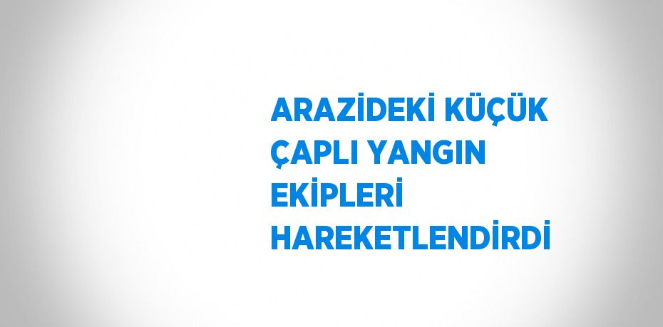 ARAZİDEKİ KÜÇÜK ÇAPLI YANGIN EKİPLERİ HAREKETLENDİRDİ