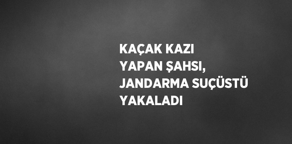 KAÇAK KAZI YAPAN ŞAHSI, JANDARMA SUÇÜSTÜ YAKALADI