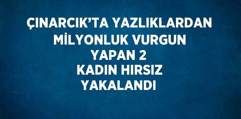 ÇINARCIK’TA YAZLIKLARDAN MİLYONLUK VURGUN YAPAN 2 KADIN HIRSIZ YAKALANDI