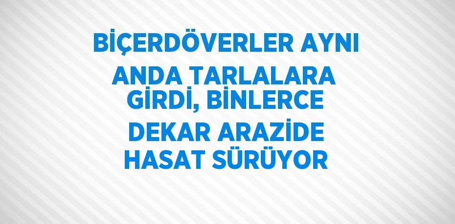 BİÇERDÖVERLER AYNI ANDA TARLALARA GİRDİ, BİNLERCE DEKAR ARAZİDE HASAT SÜRÜYOR