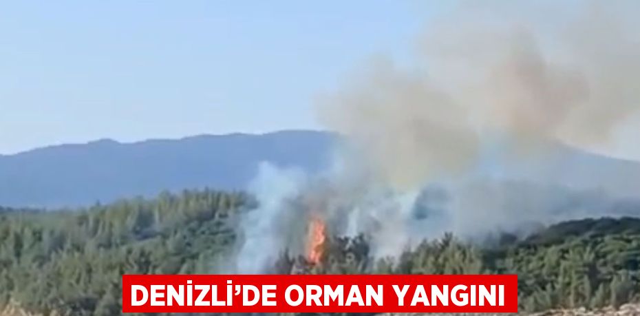 DENİZLİ’DE ORMAN YANGINI