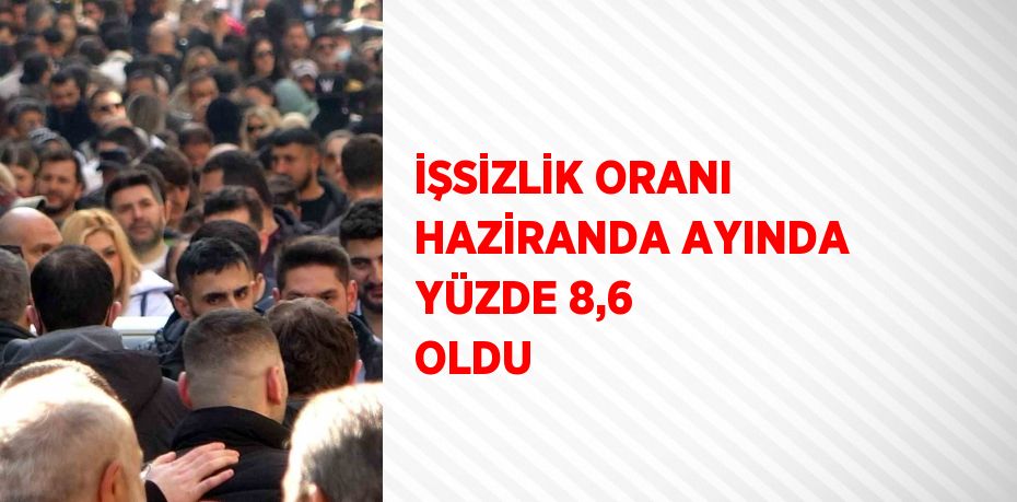 İŞSİZLİK ORANI HAZİRANDA AYINDA YÜZDE 8,6 OLDU