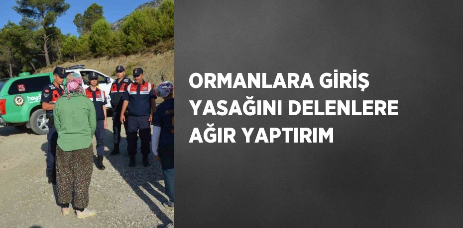 ORMANLARA GİRİŞ YASAĞINI DELENLERE AĞIR YAPTIRIM