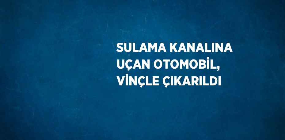 SULAMA KANALINA UÇAN OTOMOBİL, VİNÇLE ÇIKARILDI