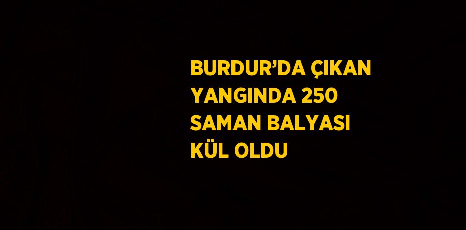 BURDUR’DA ÇIKAN YANGINDA 250 SAMAN BALYASI KÜL OLDU