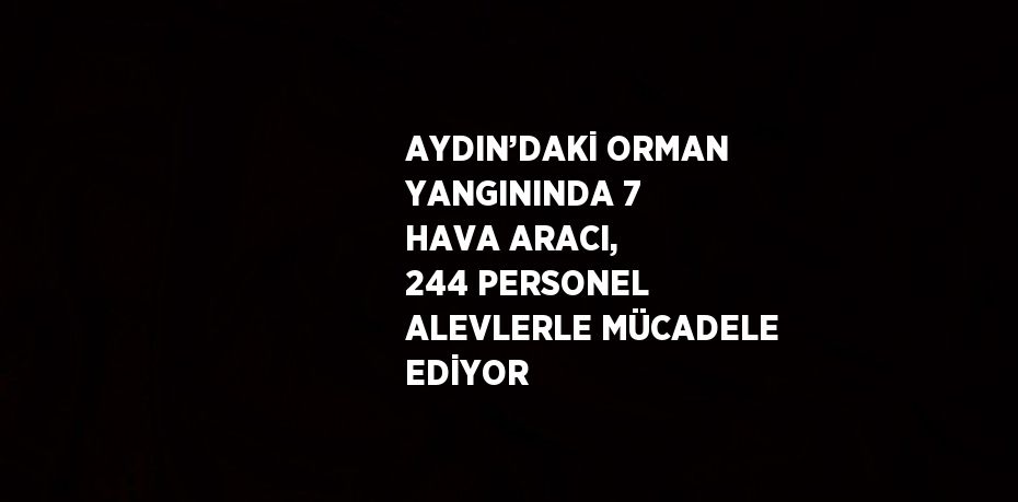 AYDIN’DAKİ ORMAN YANGININDA 7 HAVA ARACI, 244 PERSONEL ALEVLERLE MÜCADELE EDİYOR