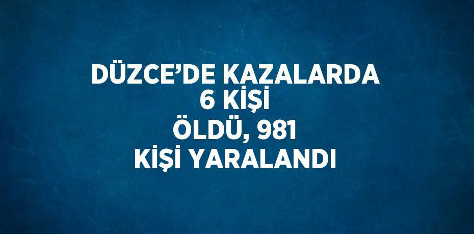 DÜZCE’DE KAZALARDA 6 KİŞİ ÖLDÜ, 981 KİŞİ YARALANDI