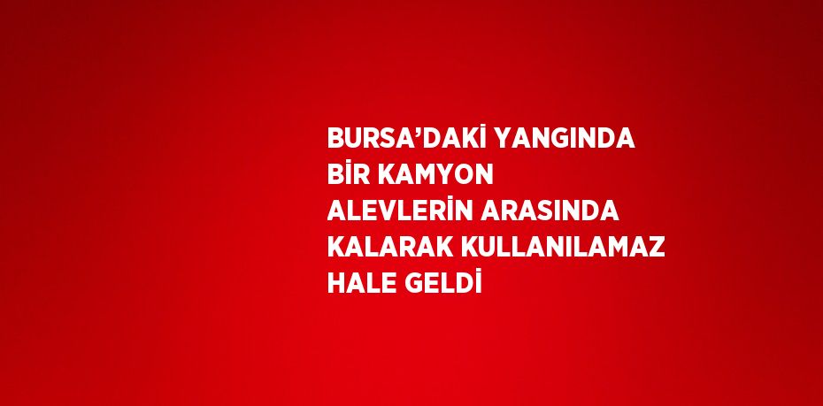BURSA’DAKİ YANGINDA BİR KAMYON ALEVLERİN ARASINDA KALARAK KULLANILAMAZ HALE GELDİ