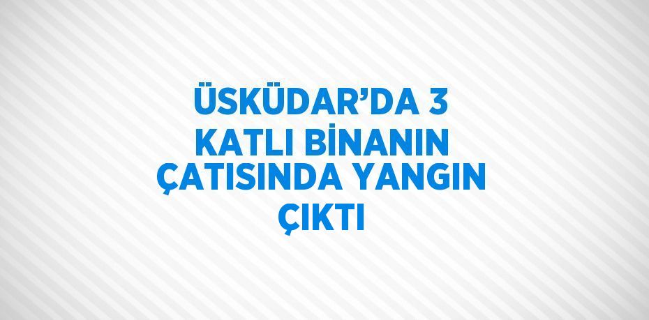 ÜSKÜDAR’DA 3 KATLI BİNANIN ÇATISINDA YANGIN ÇIKTI