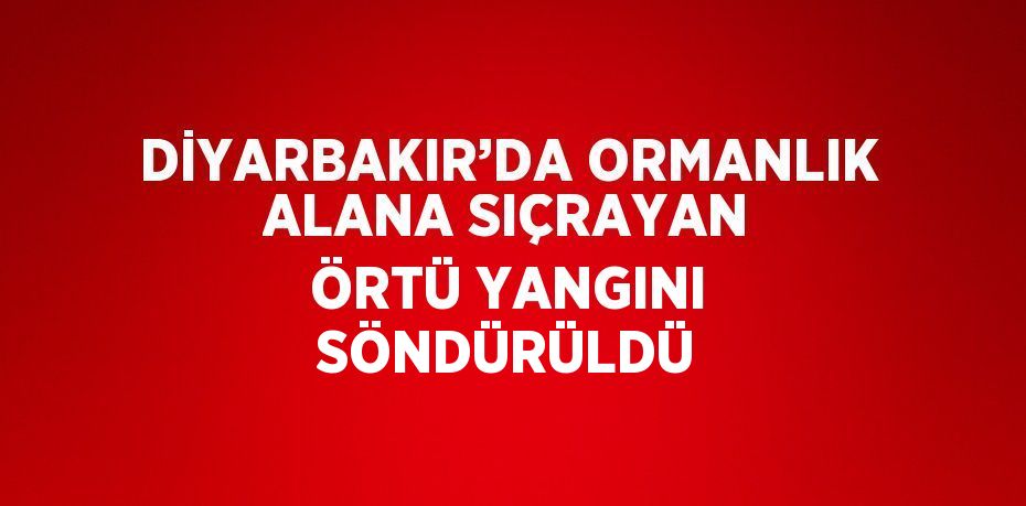 DİYARBAKIR’DA ORMANLIK ALANA SIÇRAYAN ÖRTÜ YANGINI SÖNDÜRÜLDÜ