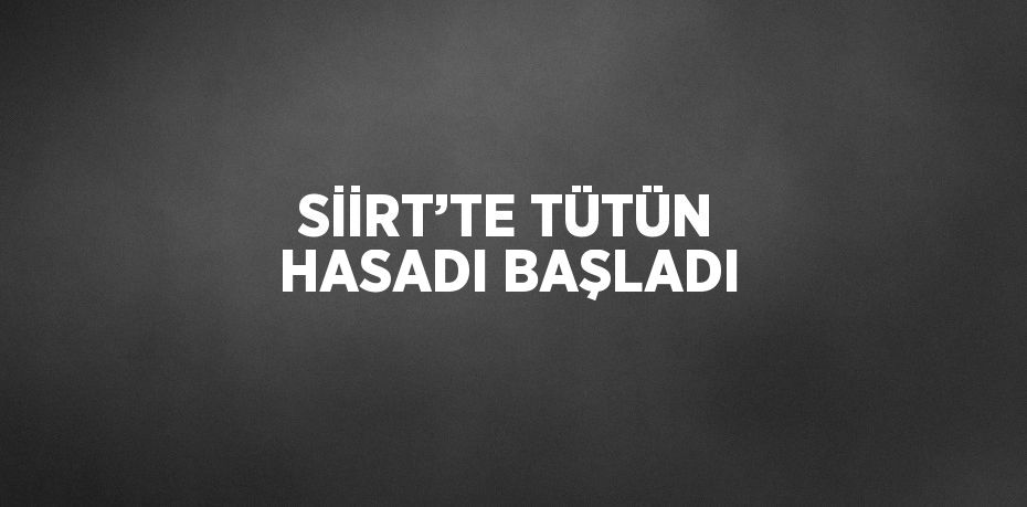 SİİRT’TE TÜTÜN HASADI BAŞLADI