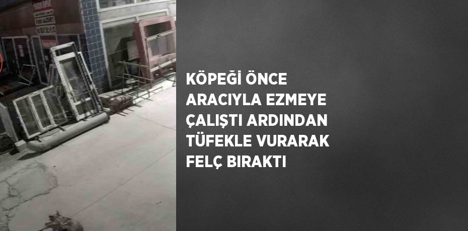 KÖPEĞİ ÖNCE ARACIYLA EZMEYE ÇALIŞTI ARDINDAN TÜFEKLE VURARAK FELÇ BIRAKTI