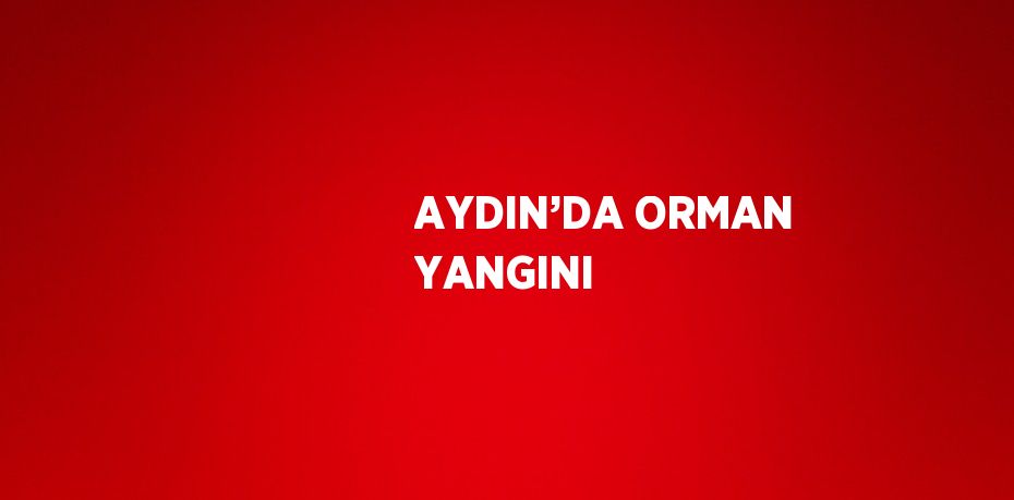 AYDIN’DA ORMAN YANGINI