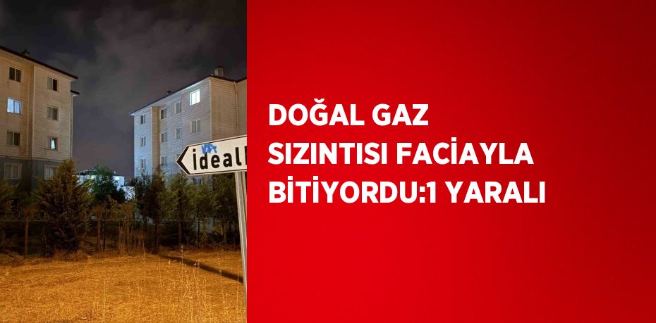 DOĞAL GAZ SIZINTISI FACİAYLA BİTİYORDU:1 YARALI