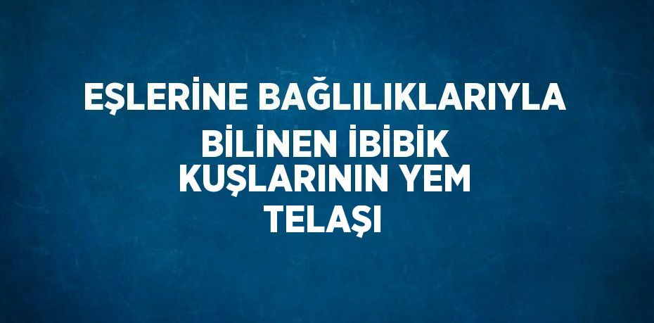 EŞLERİNE BAĞLILIKLARIYLA BİLİNEN İBİBİK KUŞLARININ YEM TELAŞI