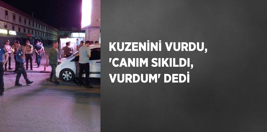 KUZENİNİ VURDU, 'CANIM SIKILDI, VURDUM' DEDİ