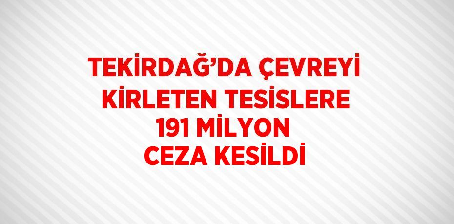 TEKİRDAĞ’DA ÇEVREYİ KİRLETEN TESİSLERE 191 MİLYON CEZA KESİLDİ