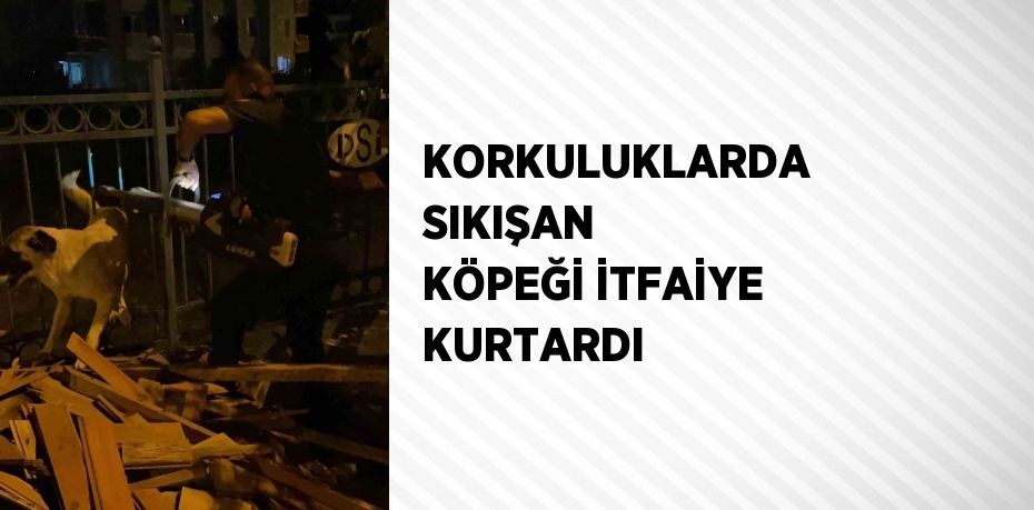 KORKULUKLARDA SIKIŞAN KÖPEĞİ İTFAİYE KURTARDI