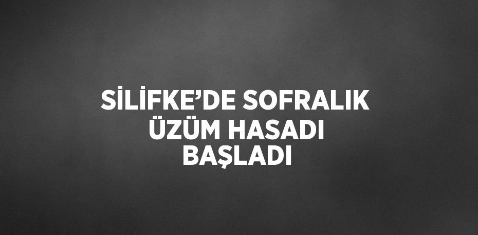 SİLİFKE’DE SOFRALIK ÜZÜM HASADI BAŞLADI