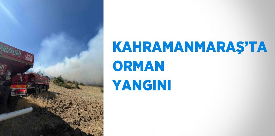 KAHRAMANMARAŞ’TA ORMAN YANGINI