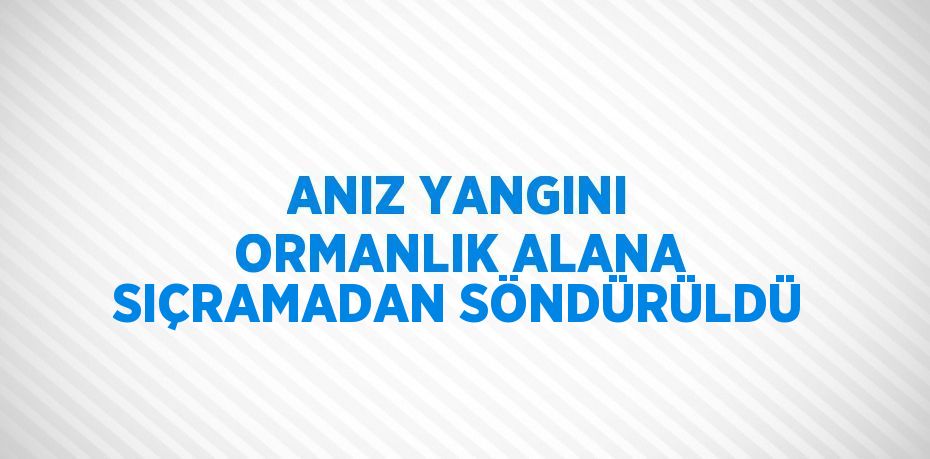 ANIZ YANGINI ORMANLIK ALANA SIÇRAMADAN SÖNDÜRÜLDÜ