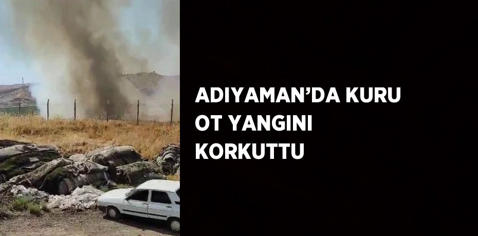 ADIYAMAN’DA KURU OT YANGINI KORKUTTU