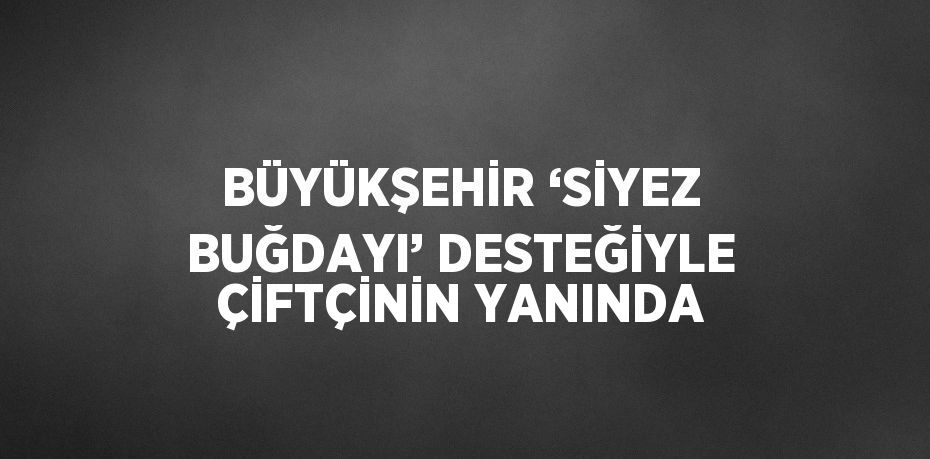 BÜYÜKŞEHİR ‘SİYEZ BUĞDAYI’ DESTEĞİYLE ÇİFTÇİNİN YANINDA