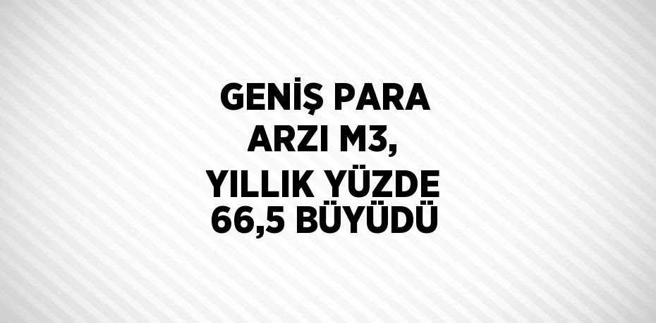 GENİŞ PARA ARZI M3, YILLIK YÜZDE 66,5 BÜYÜDÜ