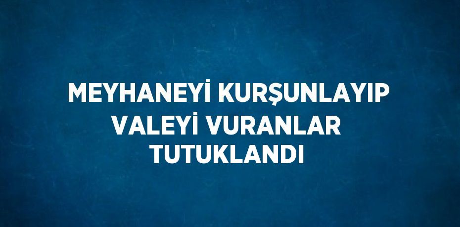 MEYHANEYİ KURŞUNLAYIP VALEYİ VURANLAR TUTUKLANDI