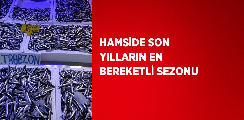 HAMSİDE SON YILLARIN EN BEREKETLİ SEZONU