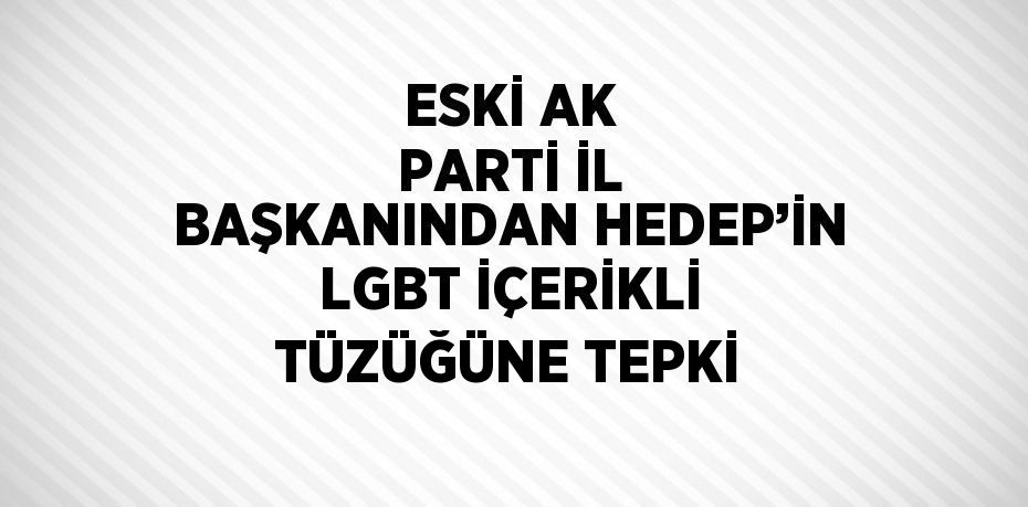 ESKİ AK PARTİ İL BAŞKANINDAN HEDEP’İN LGBT İÇERİKLİ TÜZÜĞÜNE TEPKİ