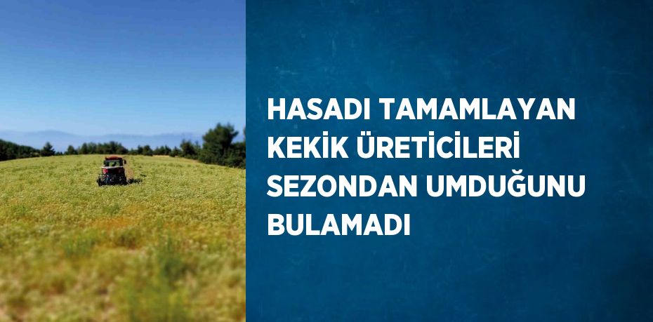 HASADI TAMAMLAYAN KEKİK ÜRETİCİLERİ SEZONDAN UMDUĞUNU BULAMADI