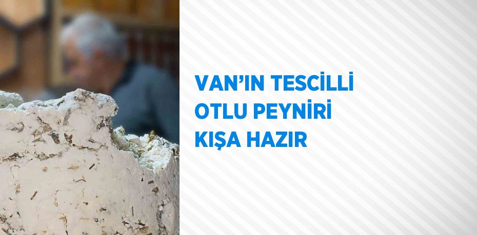 VAN’IN TESCİLLİ OTLU PEYNİRİ KIŞA HAZIR