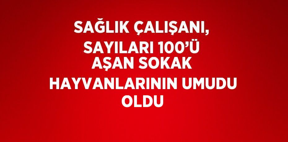 SAĞLIK ÇALIŞANI, SAYILARI 100’Ü AŞAN SOKAK HAYVANLARININ UMUDU OLDU