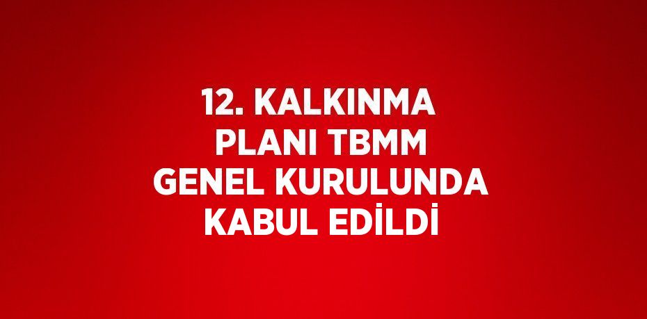 12. KALKINMA PLANI TBMM GENEL KURULUNDA KABUL EDİLDİ