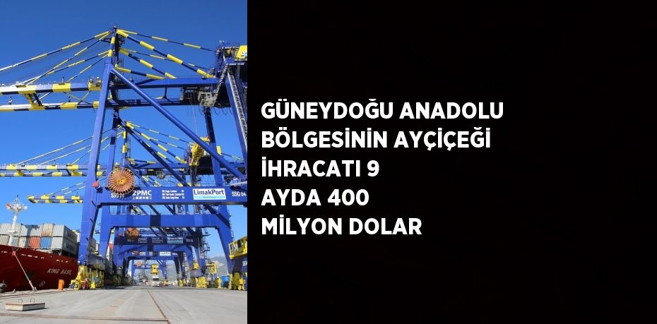 GÜNEYDOĞU ANADOLU BÖLGESİNİN AYÇİÇEĞİ İHRACATI 9 AYDA 400 MİLYON DOLAR