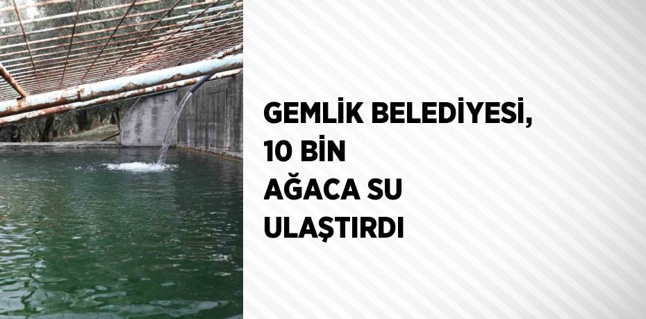 GEMLİK BELEDİYESİ, 10 BİN AĞACA SU ULAŞTIRDI