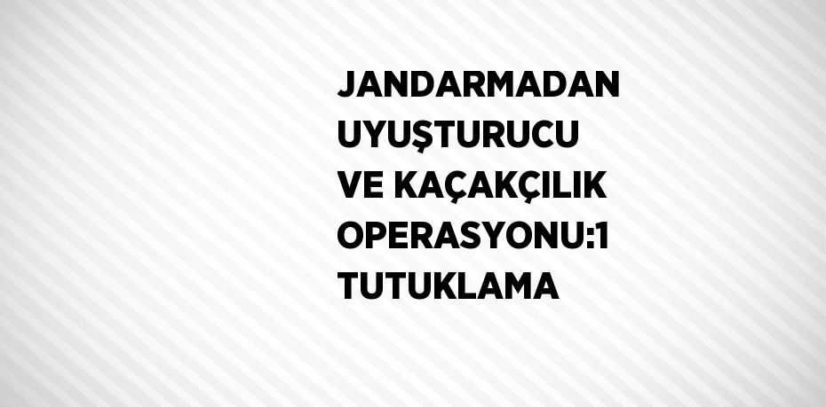 JANDARMADAN UYUŞTURUCU VE KAÇAKÇILIK OPERASYONU:1 TUTUKLAMA