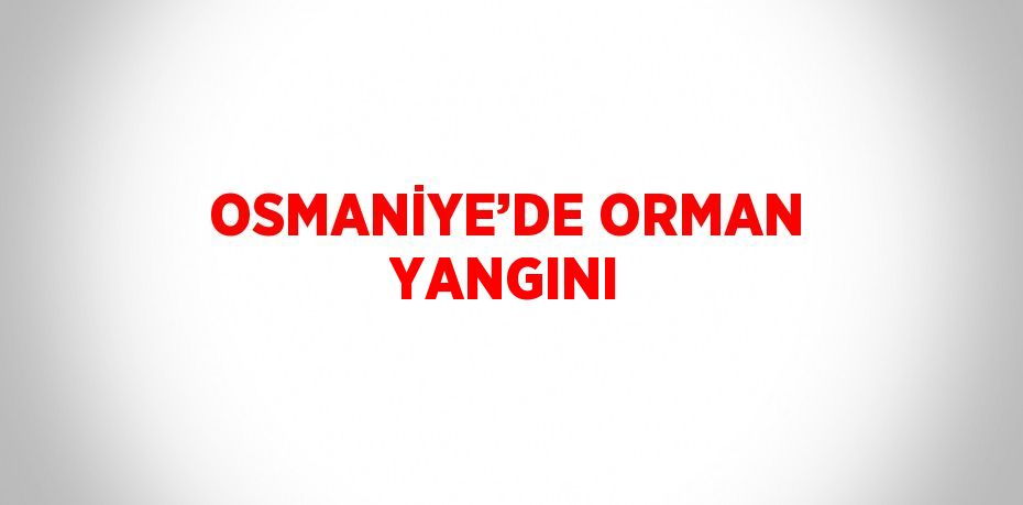 OSMANİYE’DE ORMAN YANGINI