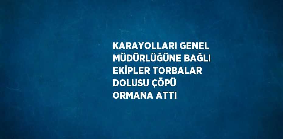 KARAYOLLARI GENEL MÜDÜRLÜĞÜNE BAĞLI EKİPLER TORBALAR DOLUSU ÇÖPÜ ORMANA ATTI