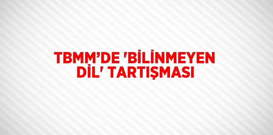 TBMM’DE 'BİLİNMEYEN DİL' TARTIŞMASI