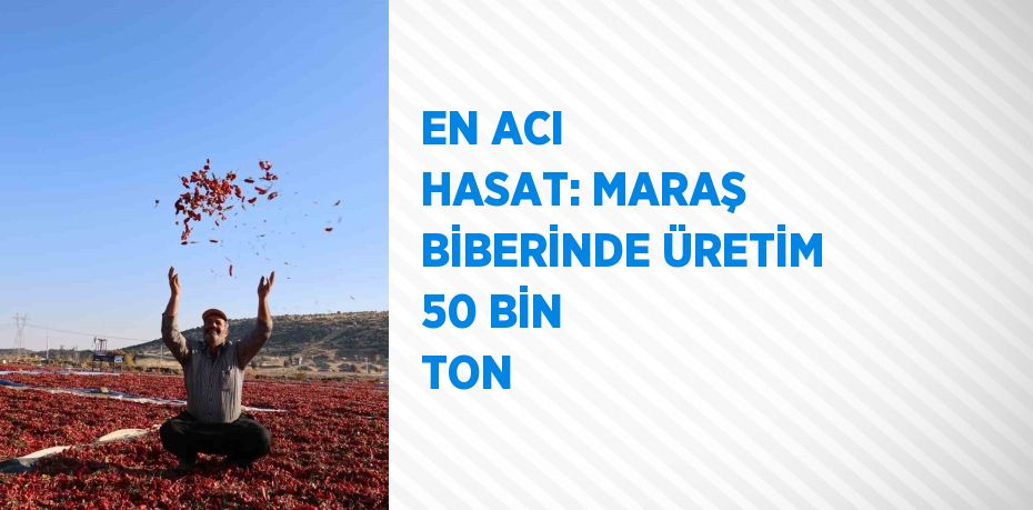 EN ACI HASAT: MARAŞ BİBERİNDE ÜRETİM 50 BİN TON