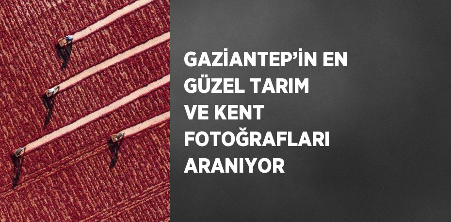 GAZİANTEP’İN EN GÜZEL TARIM VE KENT FOTOĞRAFLARI ARANIYOR