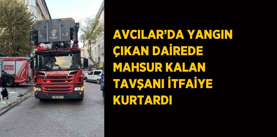 AVCILAR’DA YANGIN ÇIKAN DAİREDE MAHSUR KALAN TAVŞANI İTFAİYE KURTARDI